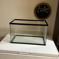 20 Gallon Tank 