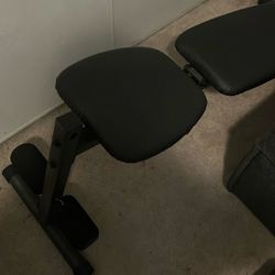 Workout Bench /golds Gym