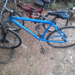 Cannondale bicycle 700 cc 80.00