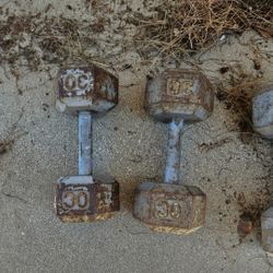 30 Pound Dumbbells 