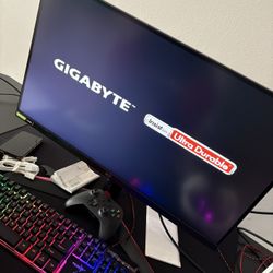 Gaming Monitor Read Description 