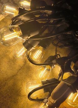 Brand New LED Indoor/ Outdoor String Lights / 24'