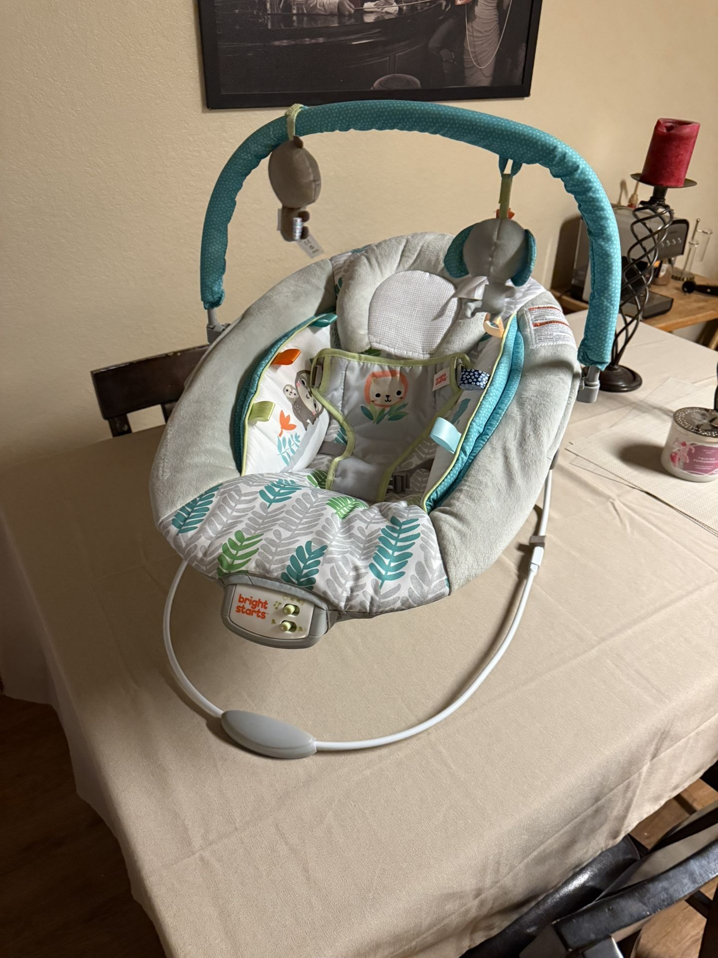 Baby Bouncer, Plays Music & Vibrates
