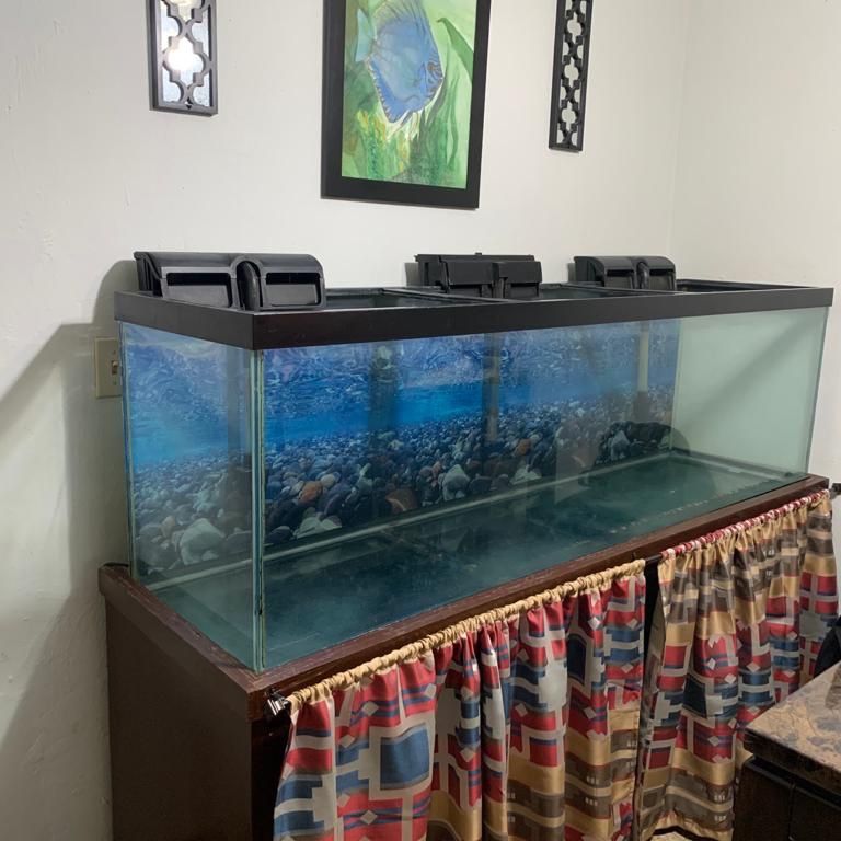 Fish Tank - Pescera 120galones