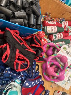 Pet Toys & Other 2.99 Bin