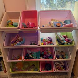 Toy Organizers with bins