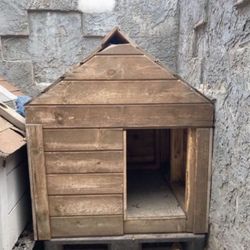 Dog House 