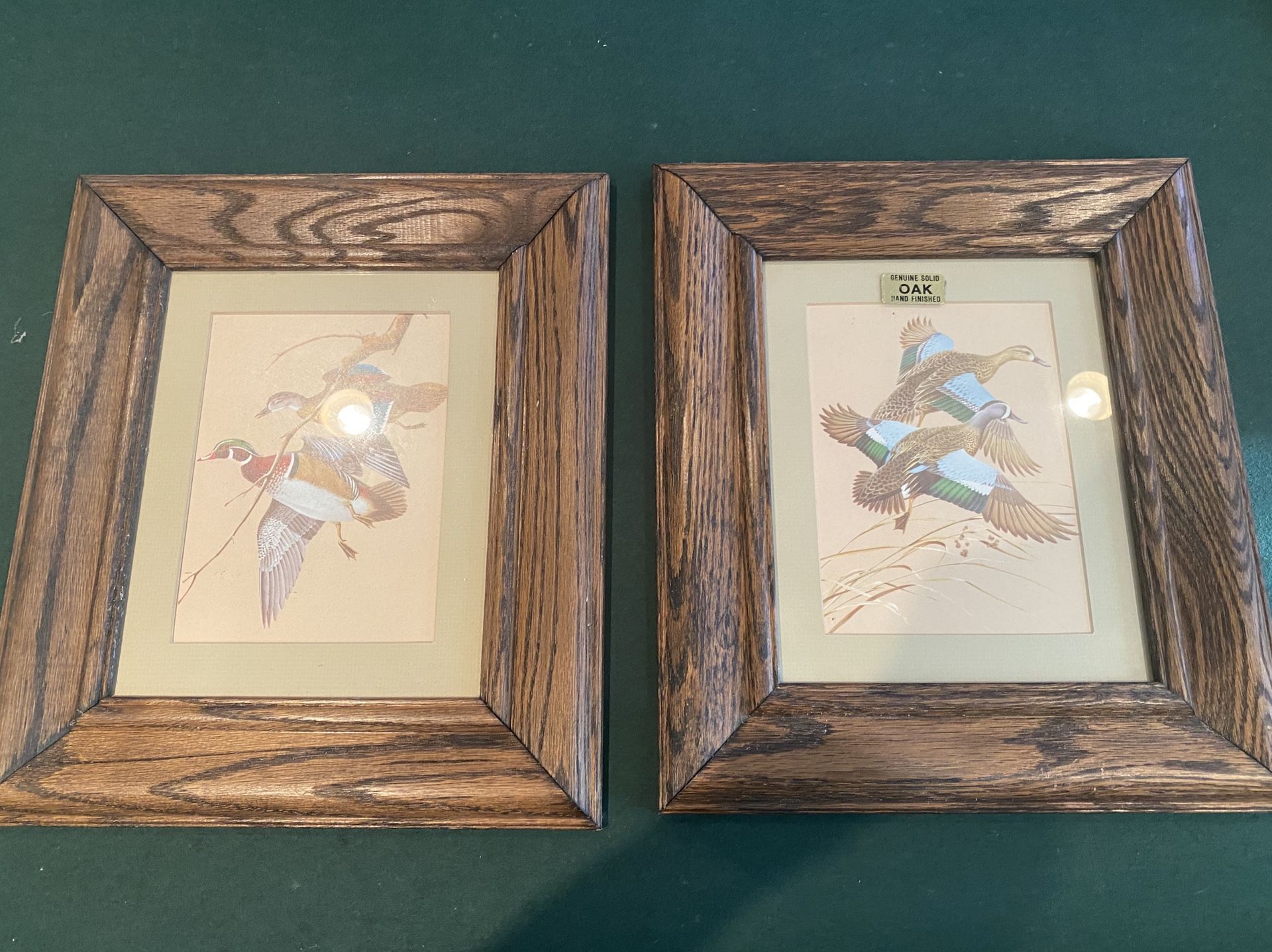 Oak wood framed bird art