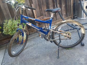 Schwinn bike