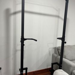 Pull Up Bar And Dip Station