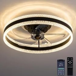 Ceiling Fan With Light