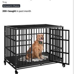 Dog Cage 