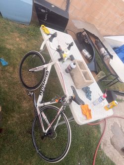 Bianchi
