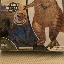 Inflatable Costume