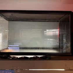 Fish tank