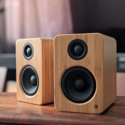 Desktop/Stereo Speakers