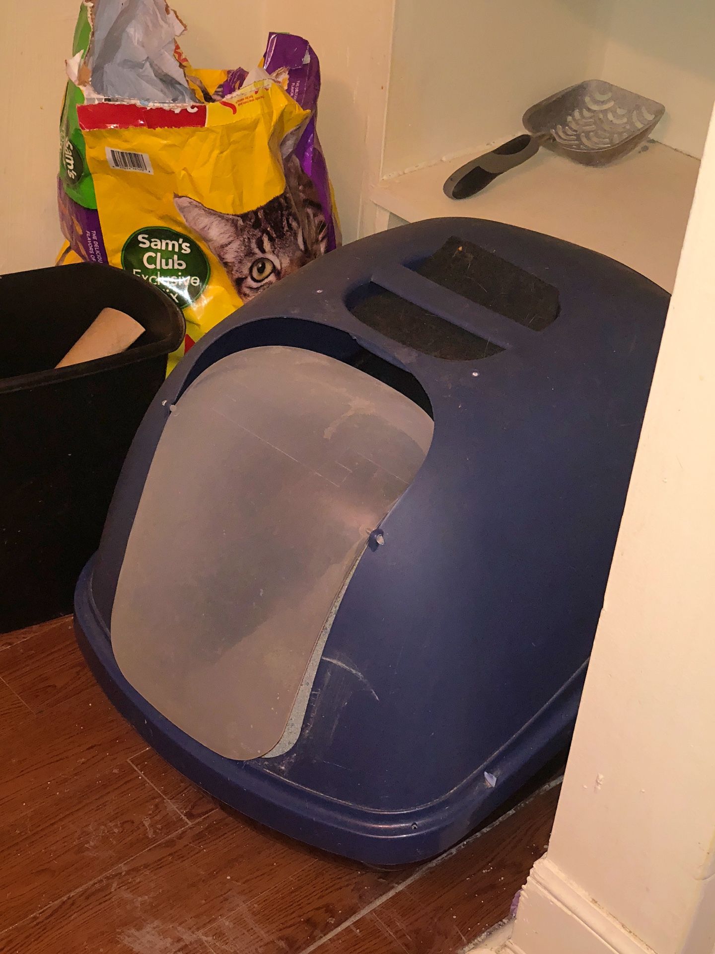 Whisker City Hooded Cat Litter Pan.
