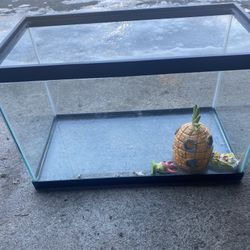 Fish Tank 