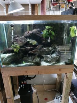 Aquarium Fish Tanks Different sizes and Equipment Salt/fresh Water