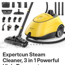 Steam Cleaner 