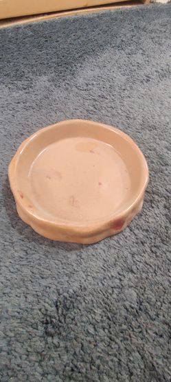 New 5" Ceramic Reptile Food Water Dish