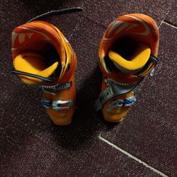 Ski Boots 