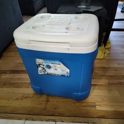 Igloo Ice Cube Cooler