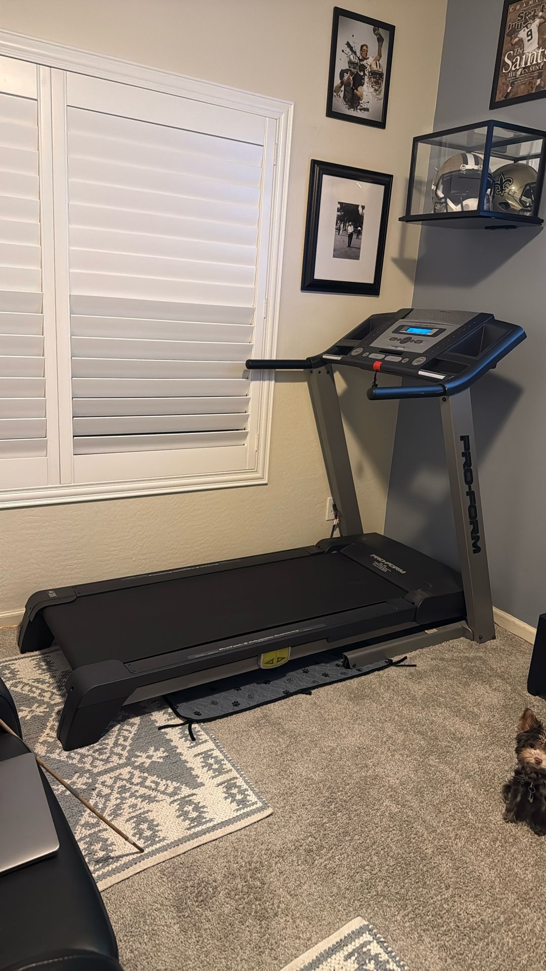 Pro-Form Treadmill
