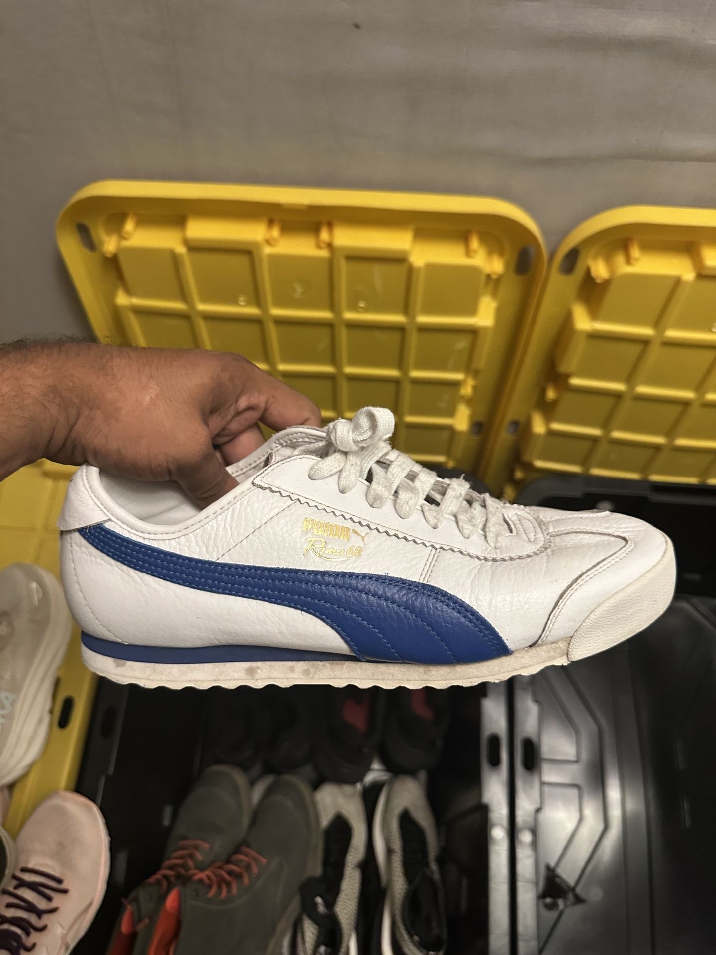 Puma Shoe 9