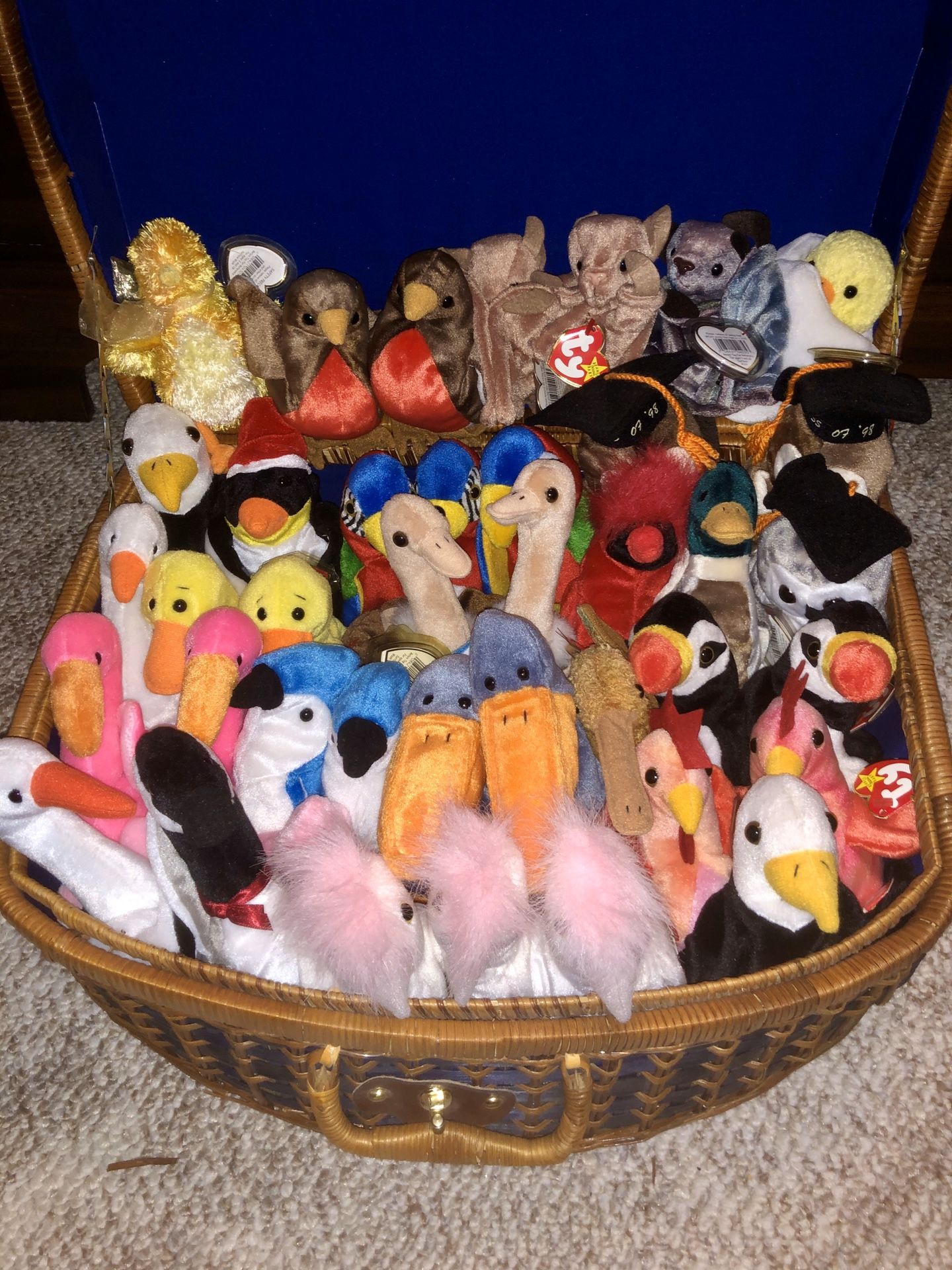 39 Bird Beanie Babies