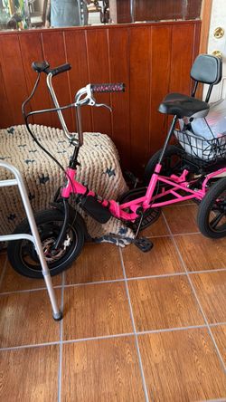 Custom electric trike