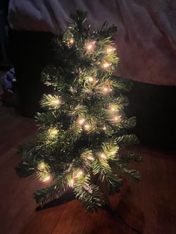 Alberta Spruce 2’ LIT TREE + FREE Christmas hat