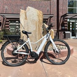 Priority Current E-Bike