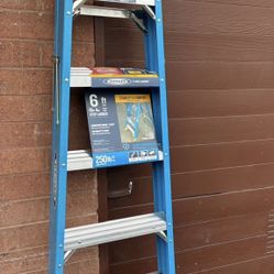 6ft FIBERGLASS LADDER, 10 Ft REACH CAPACITY