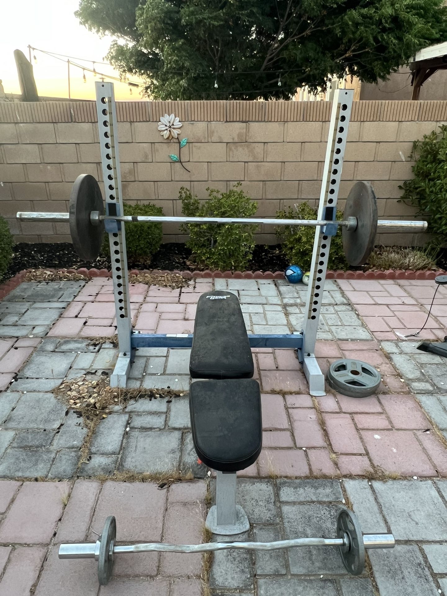Bench/squat Rack