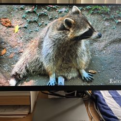 Lenovo 27 inch QHD Q27q display 