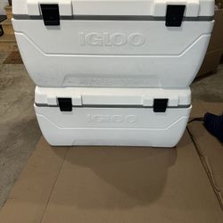 Igloo Maxcold 156 Qt Cooler