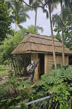 Tiki Hut