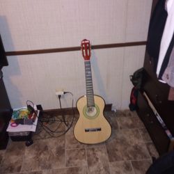 Guitar
