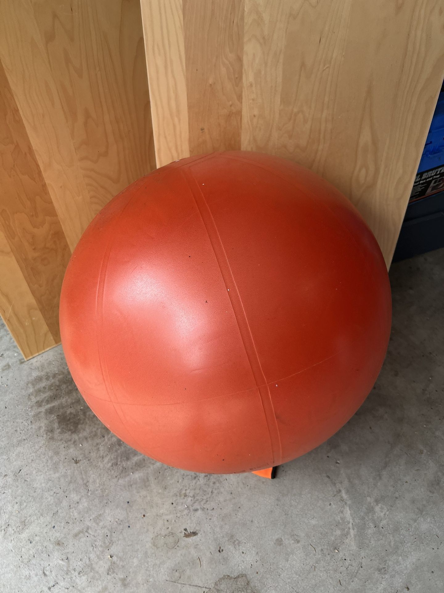 Exercise Ball