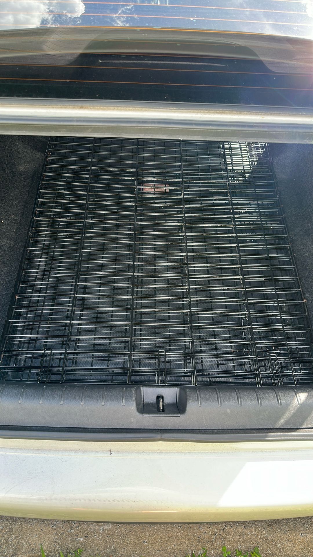 xxL dog cage . my dog is 95 lbs as you can see he has more than enough space