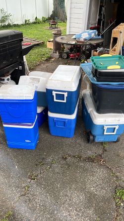 Igloo and Coleman coolers