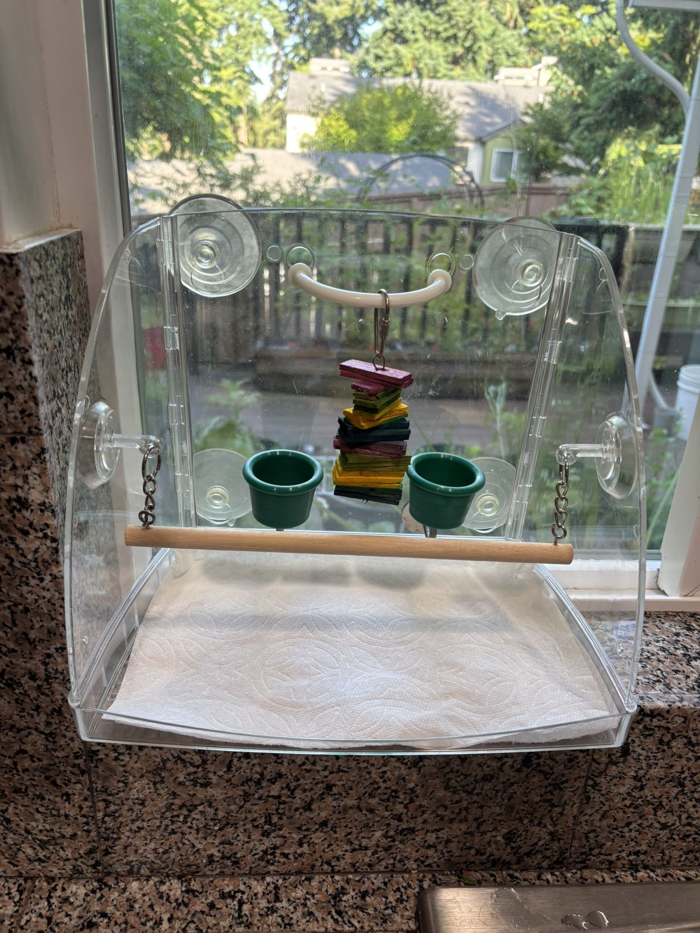 Parakeet Window Playground