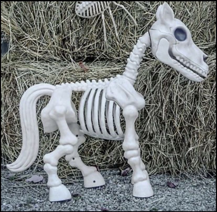 Red Shed Horse Skeleton Halloween Decoration Tractor Supply Tik Tok