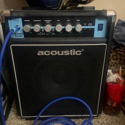 Acoustic bass amp Brand new