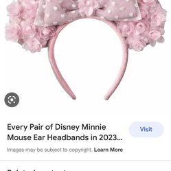 Pink Disney ears 