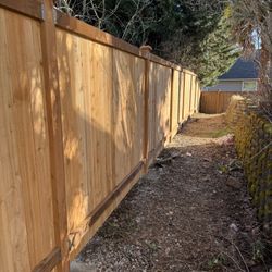 Fence 