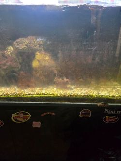 Aquarium tank