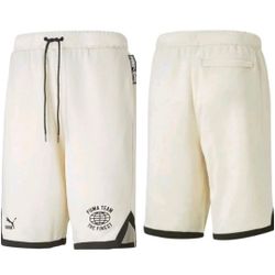 PUMA Team Shorts 8" Pt Sports Casual Colorblock Logo Knit Men's Size XL NWT