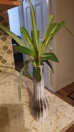 a wonderful gift for a beloved for mom for a girlfriend